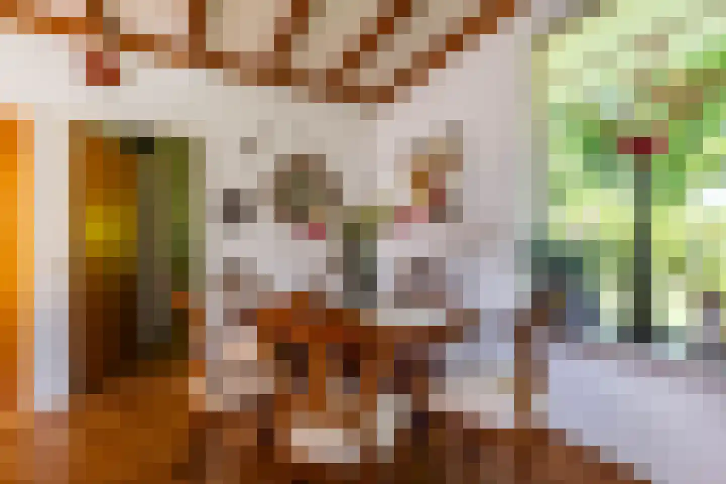 It Hoarnleger 9 Sumar thumbnail 25