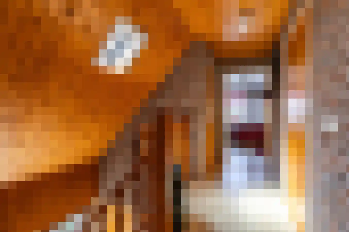 It Hoarnleger 9 Sumar thumbnail 30