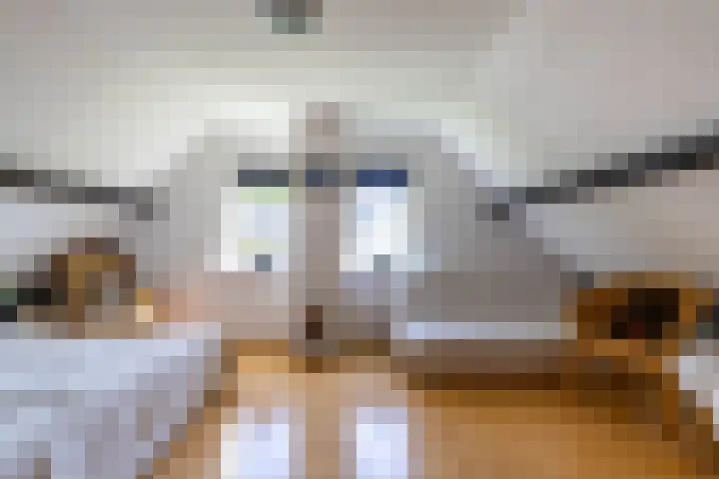 It Hoarnleger 9 Sumar thumbnail 35