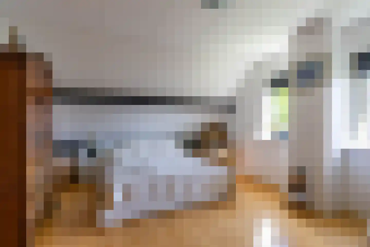 It Hoarnleger 9 Sumar thumbnail 36