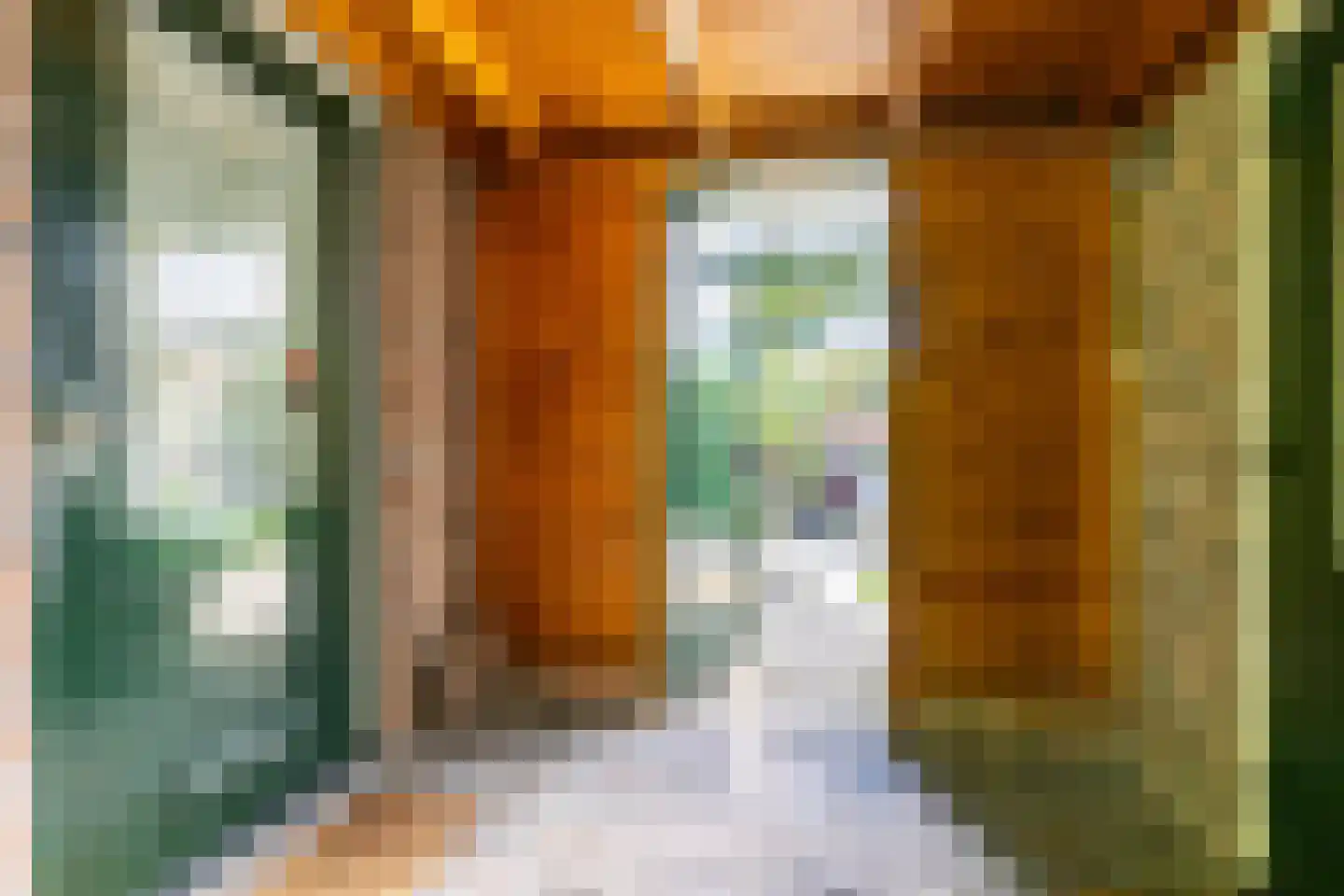 It Hoarnleger 9 Sumar thumbnail 39