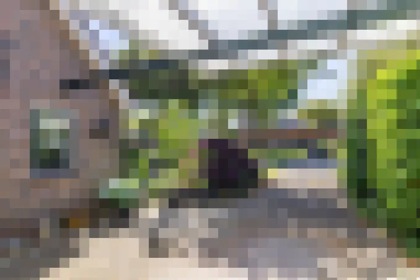 It Hoarnleger 9 Sumar thumbnail 4