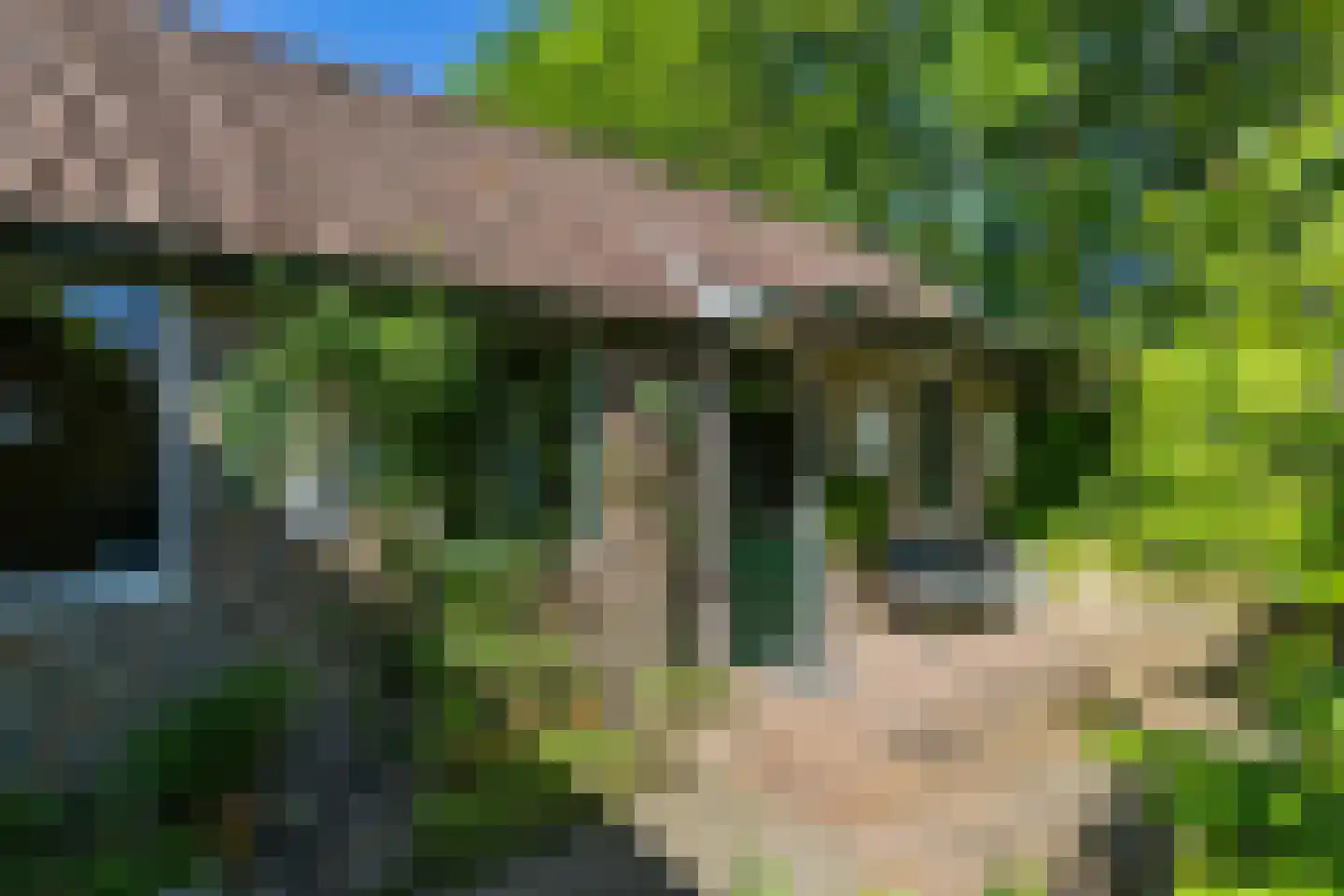 It Hoarnleger 9 Sumar thumbnail 41