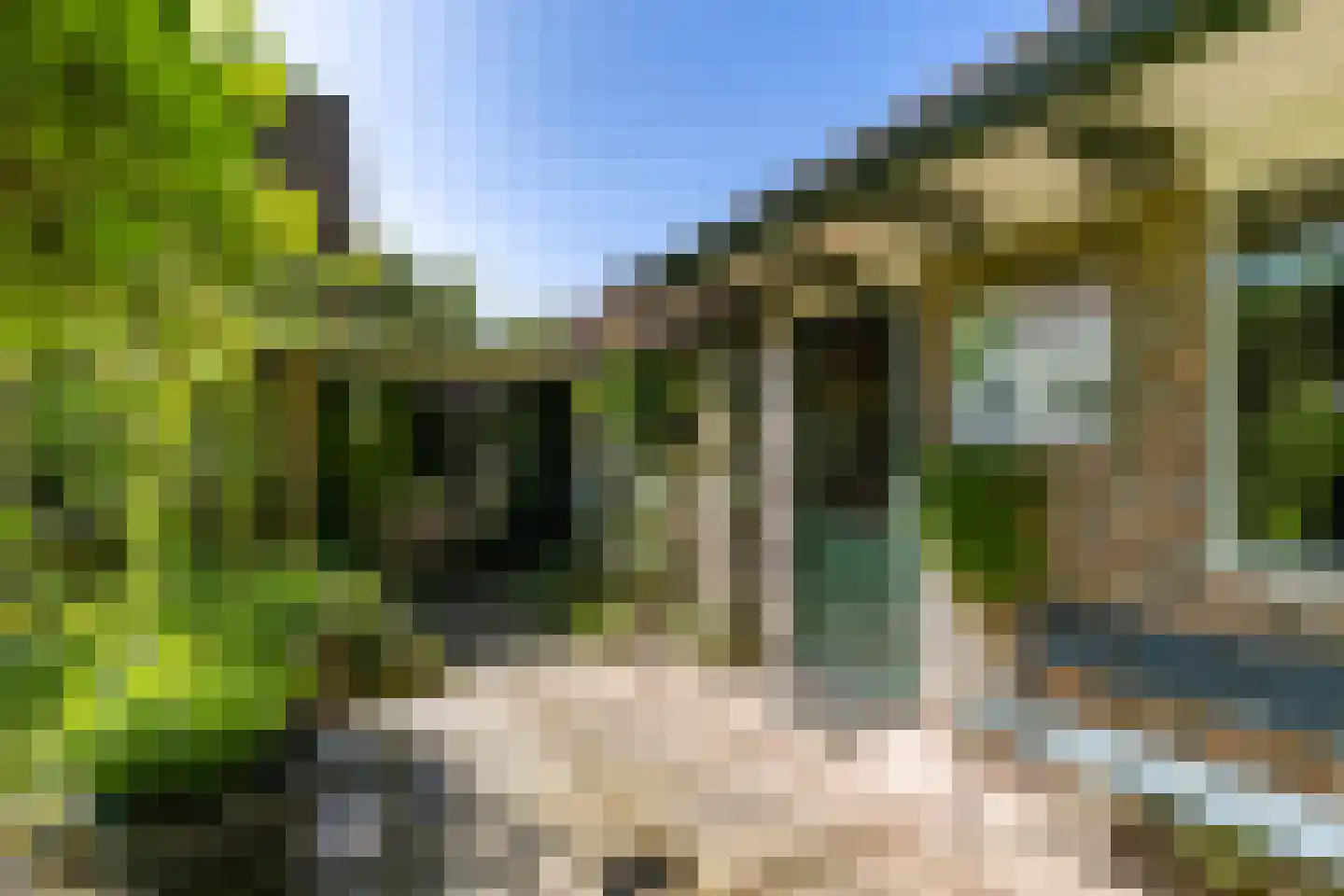 It Hoarnleger 9 Sumar thumbnail 42