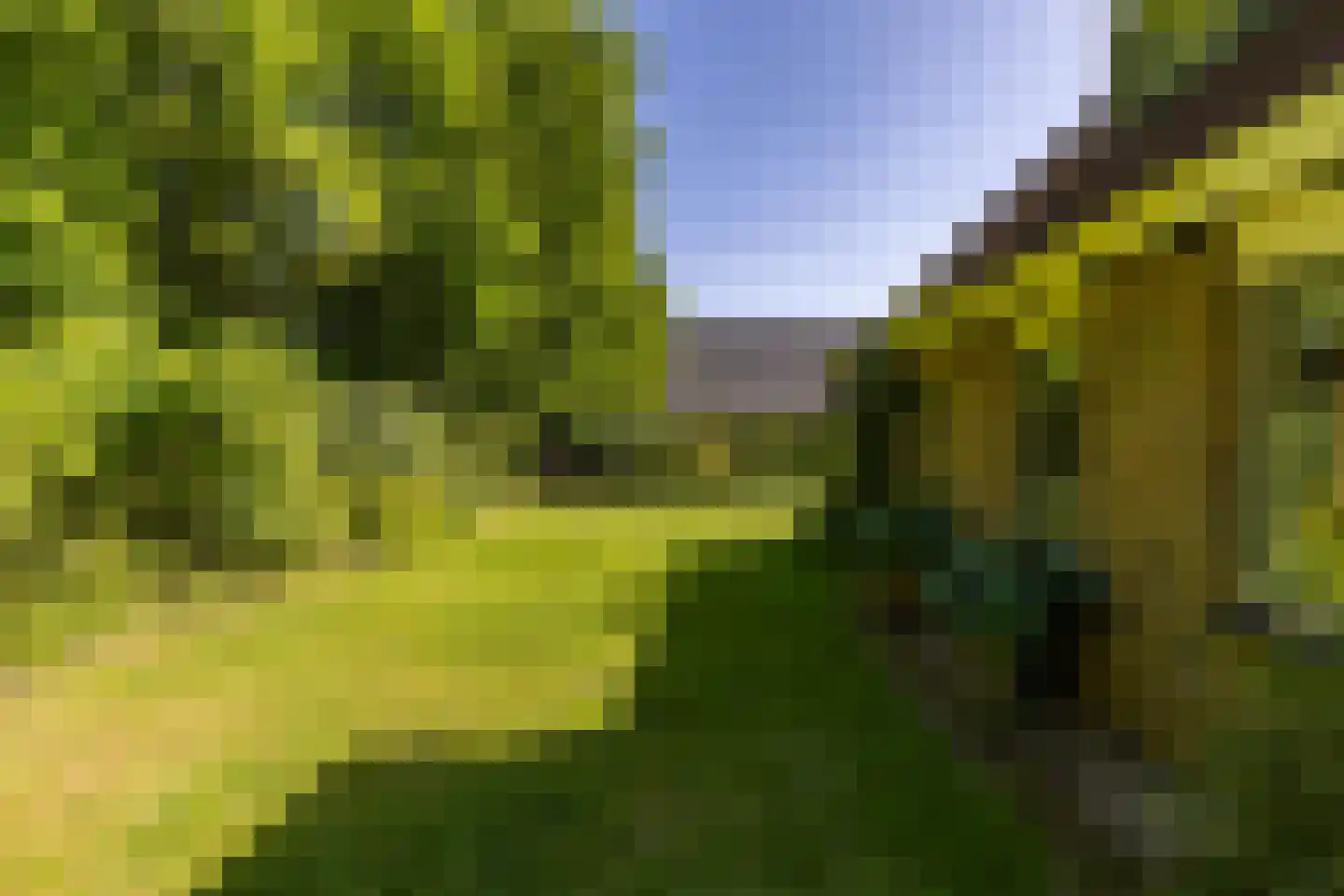It Hoarnleger 9 Sumar thumbnail 43