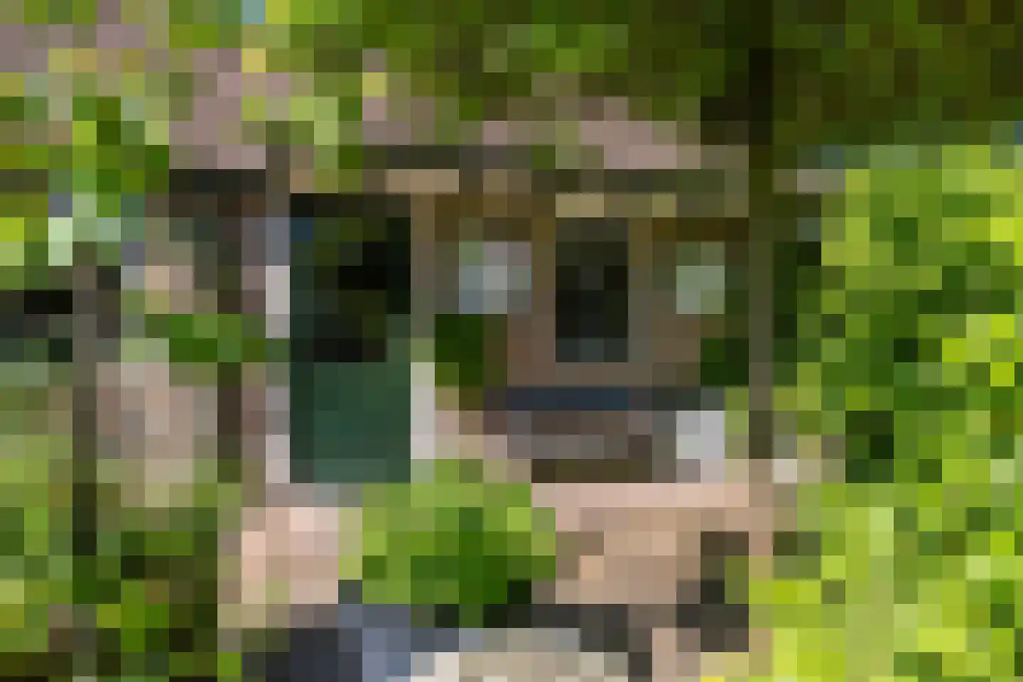 It Hoarnleger 9 Sumar thumbnail 44