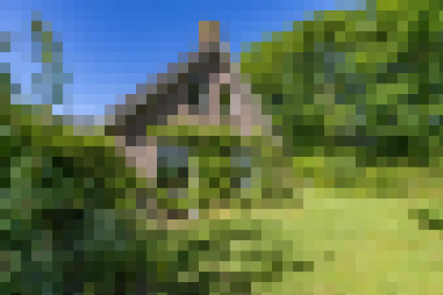 It Hoarnleger 9 Sumar thumbnail 47