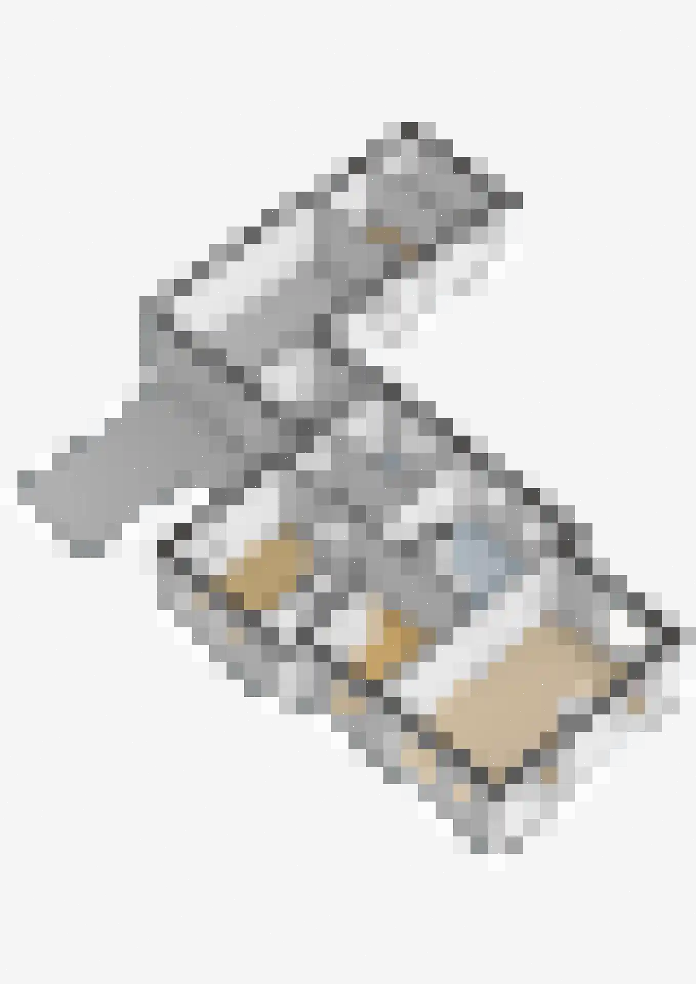 It Hoarnleger 9 Sumar thumbnail 49