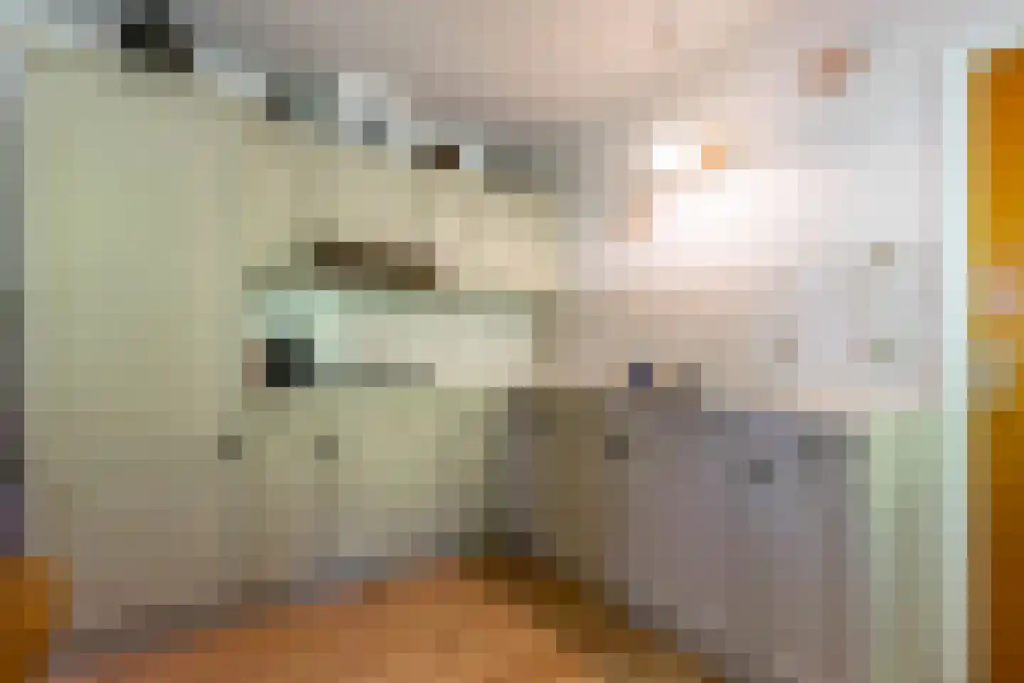 It Hoarnleger 9 Sumar thumbnail 6