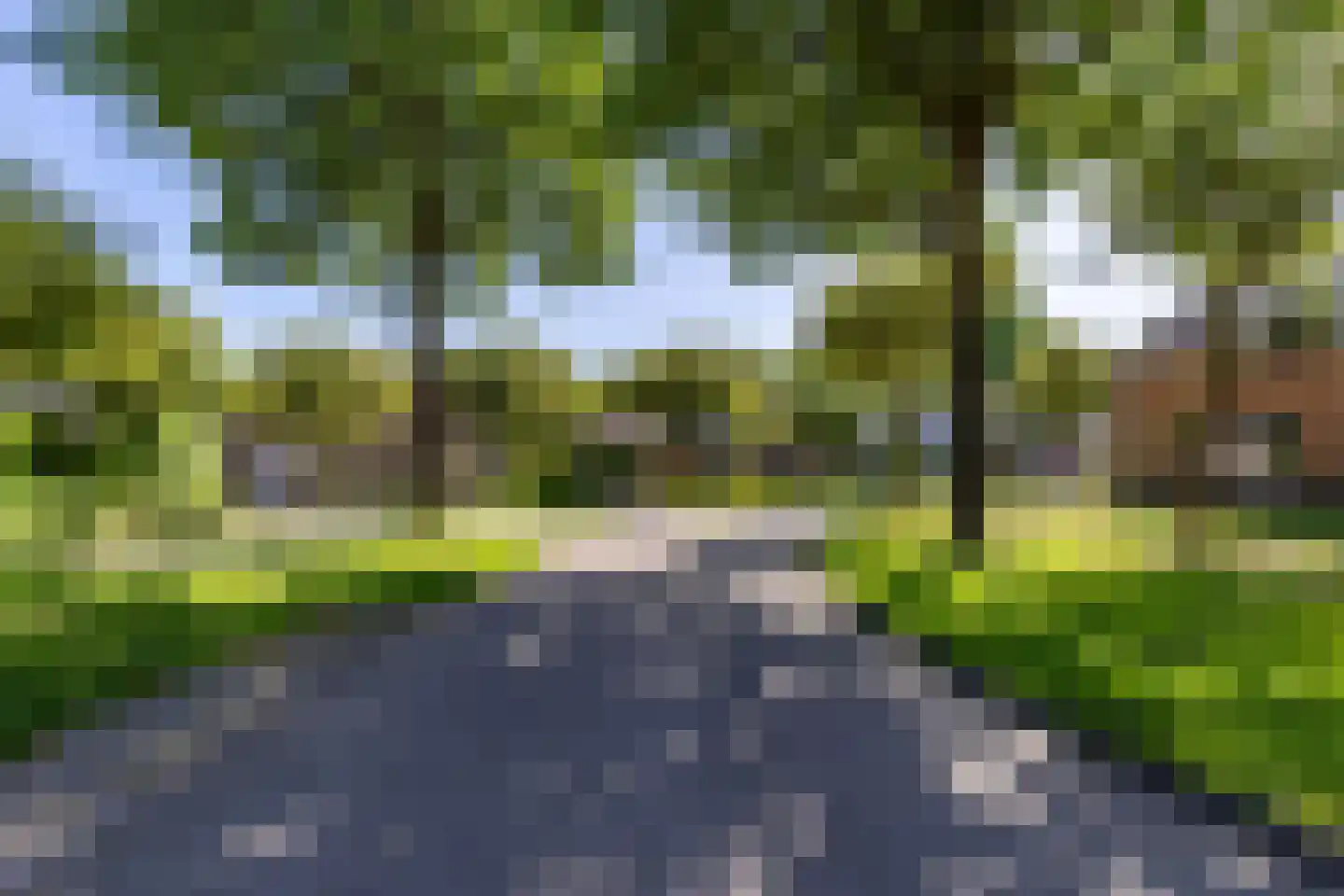 It Hoarnleger 9 Sumar thumbnail 7