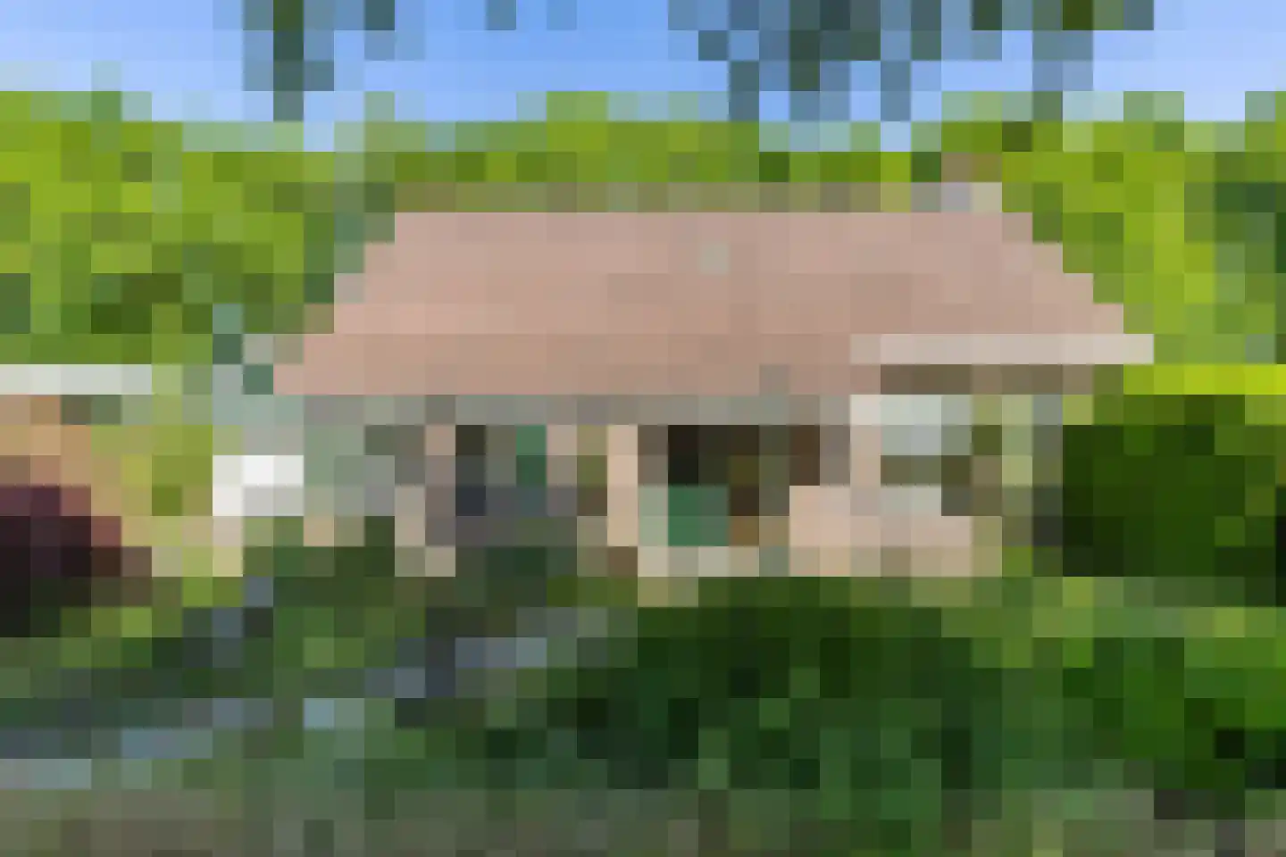 It Hoarnleger 9 Sumar thumbnail 8