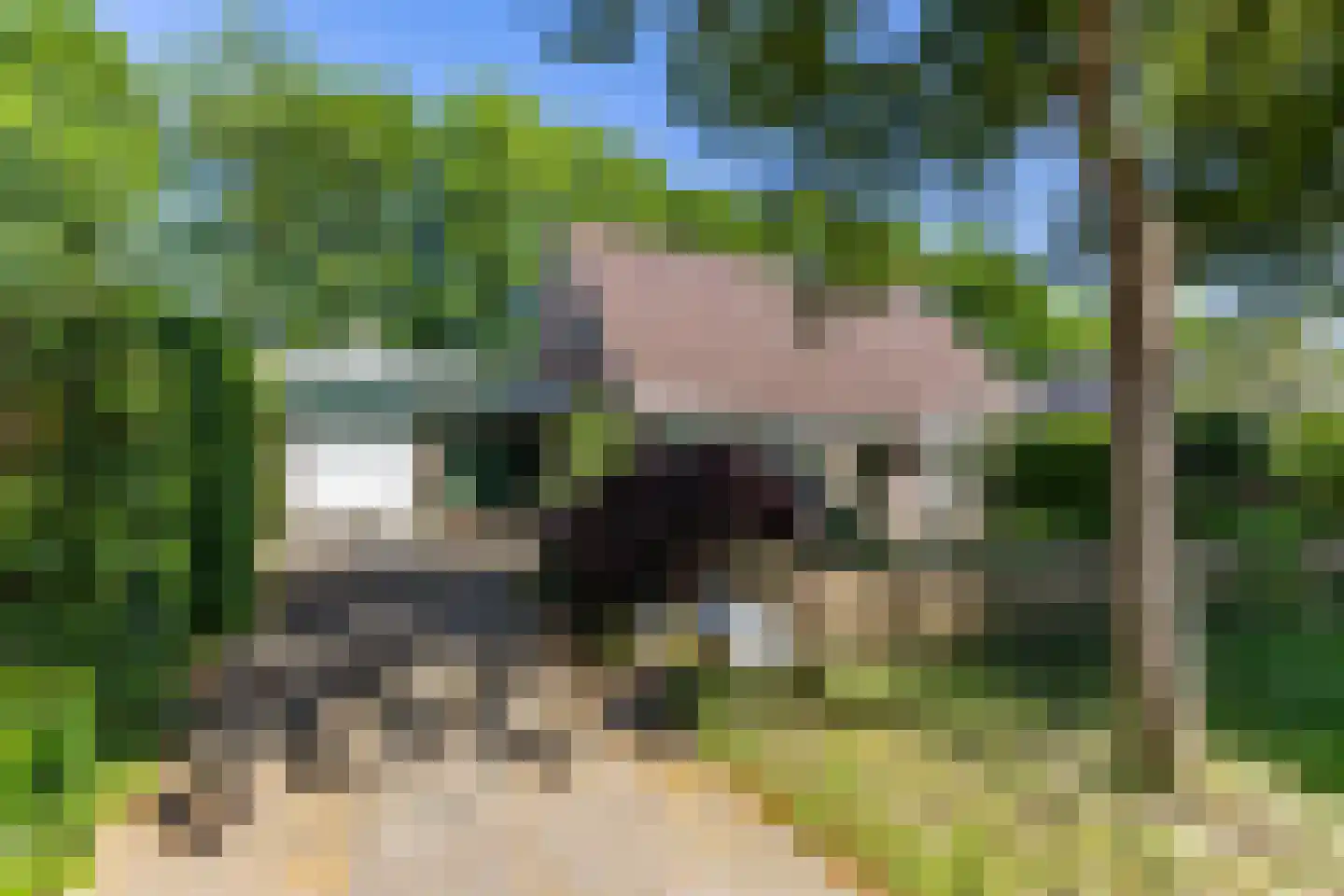 It Hoarnleger 9 Sumar thumbnail 9