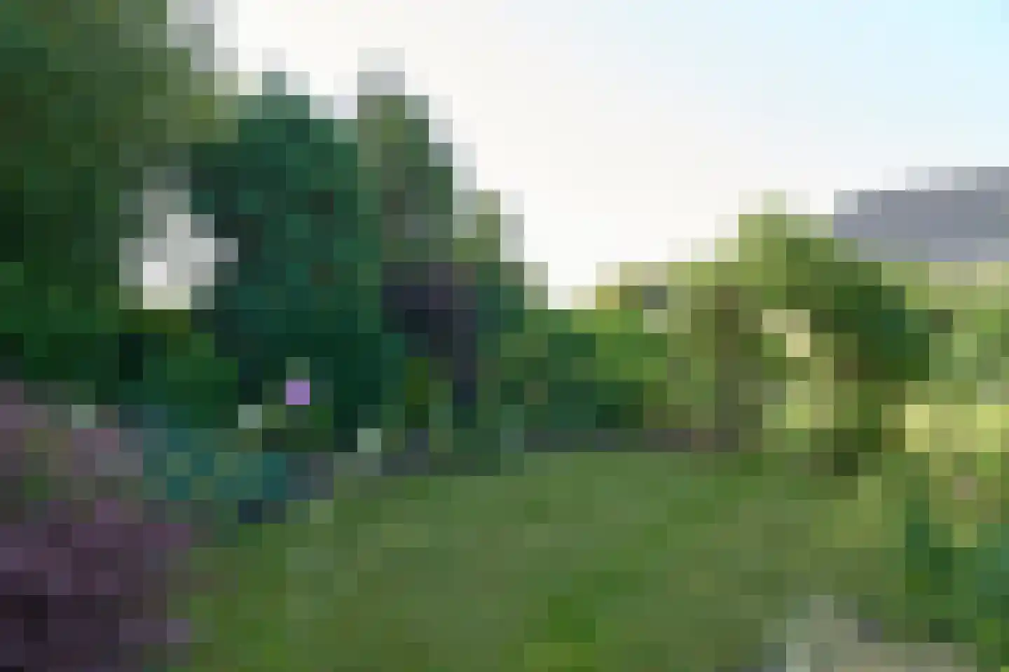 It Hôf 10 Goingarijp thumbnail 13