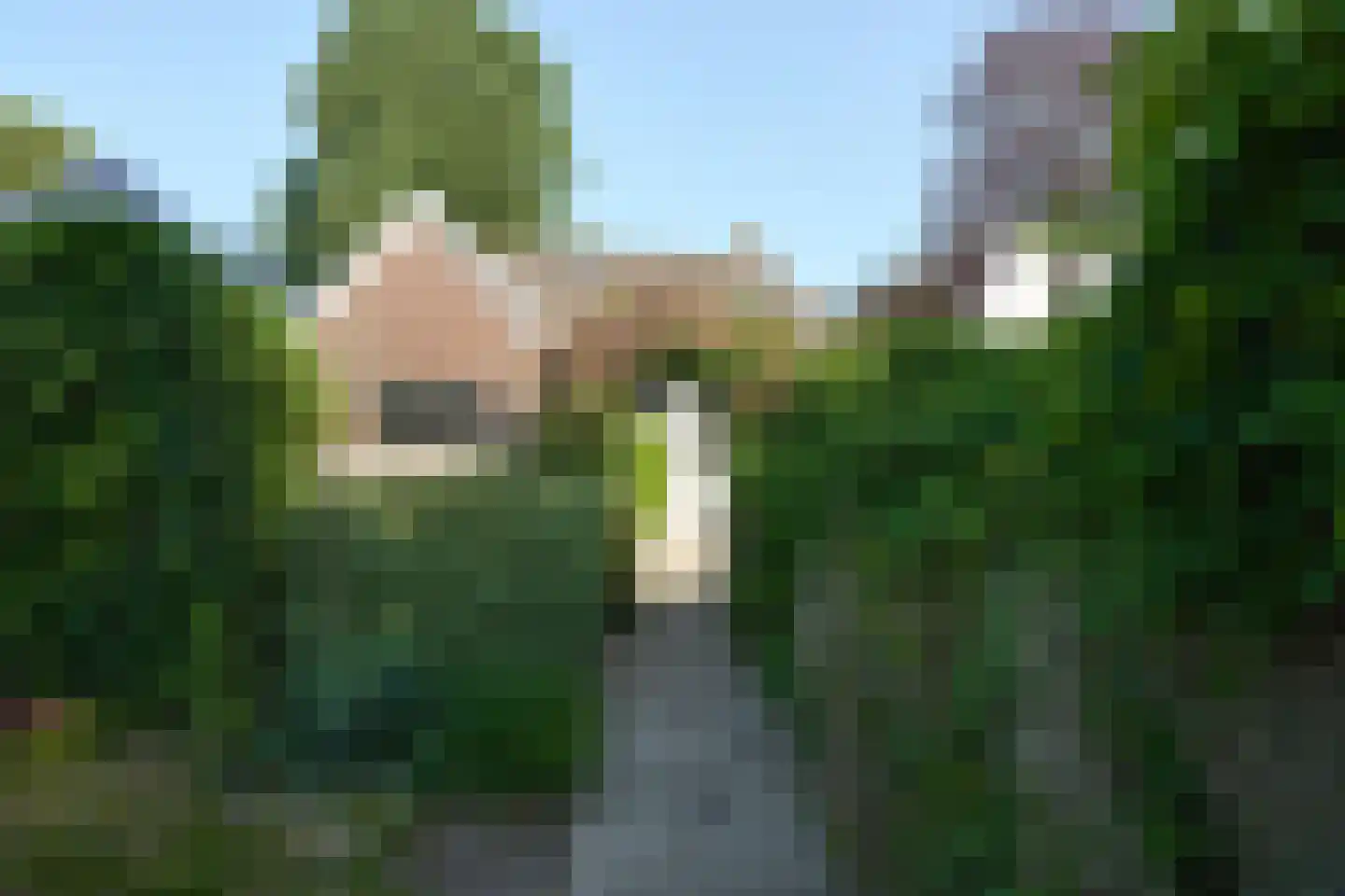 It Hôf 10 Goingarijp thumbnail 14