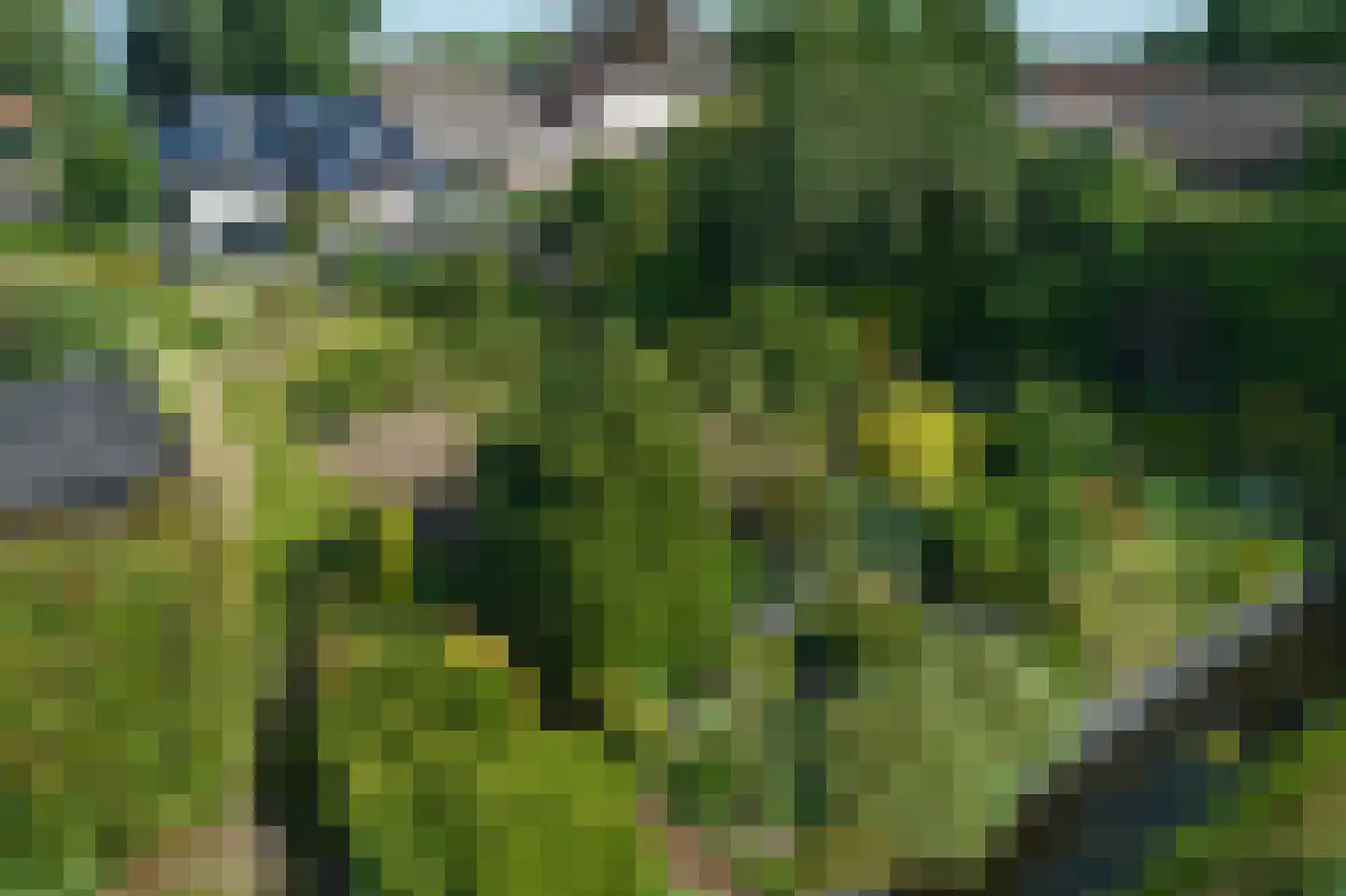 It Hôf 10 Goingarijp thumbnail 35
