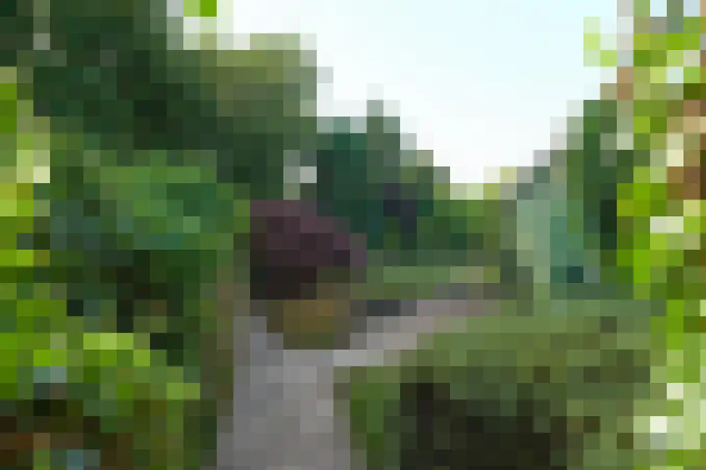 It Hôf 10 Goingarijp thumbnail 8