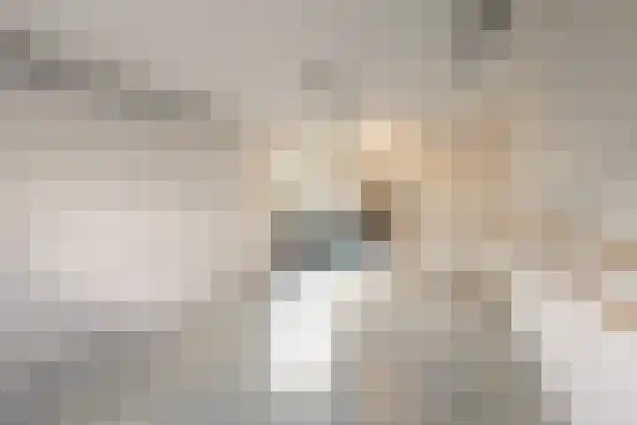 It Hôf 13 Makkum thumbnail 14