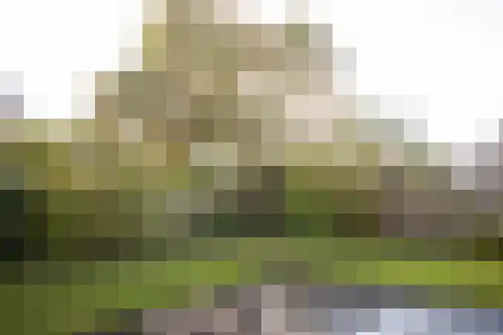 It Hôf 13 Makkum thumbnail 15