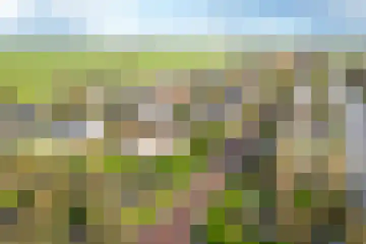 It Hôf 13 Makkum thumbnail 27