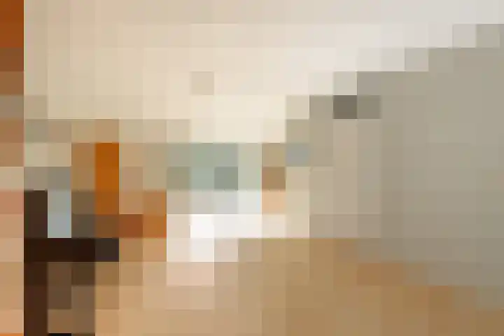 It Hôf 13 Makkum thumbnail 7