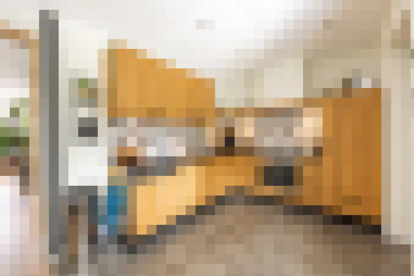 It Hôf 17 Makkum thumbnail 12