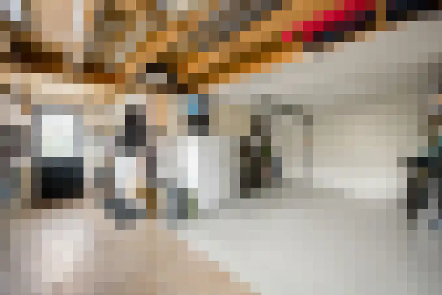It Hôf 17 Makkum thumbnail 17