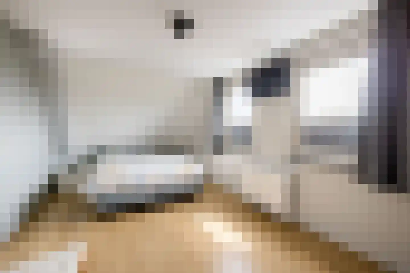 It Hôf 17 Makkum thumbnail 18