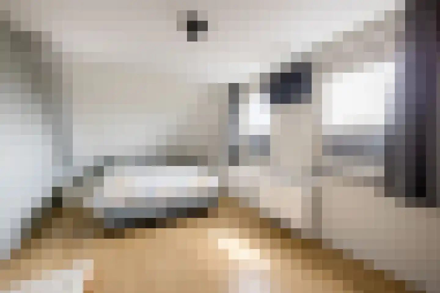 It Hôf 17 Makkum thumbnail 20