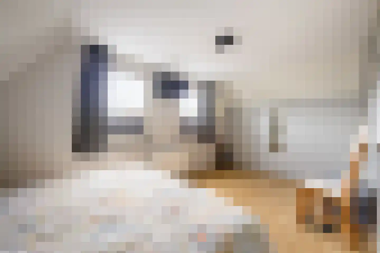 It Hôf 17 Makkum thumbnail 21
