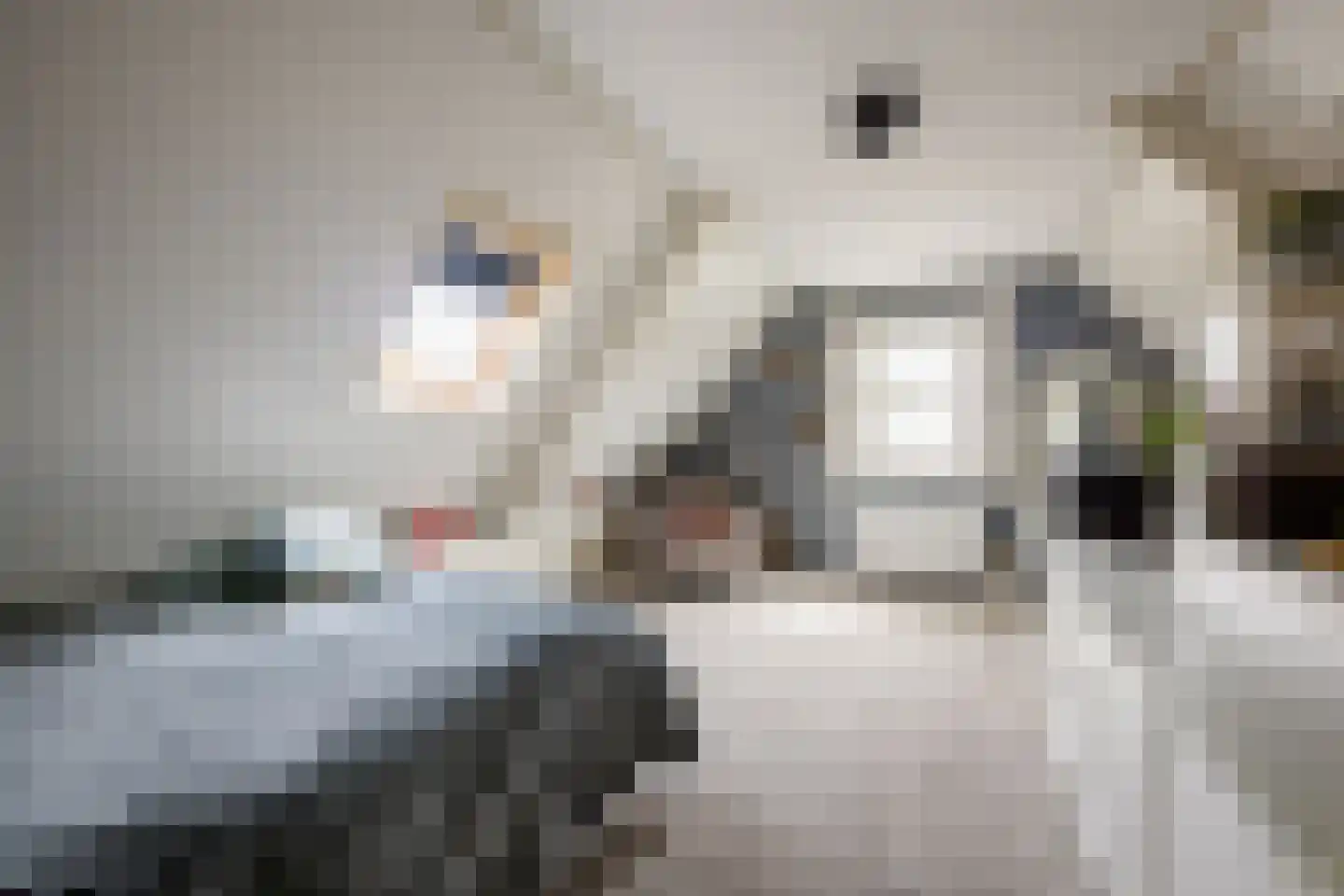 It Hôf 17 Makkum thumbnail 27