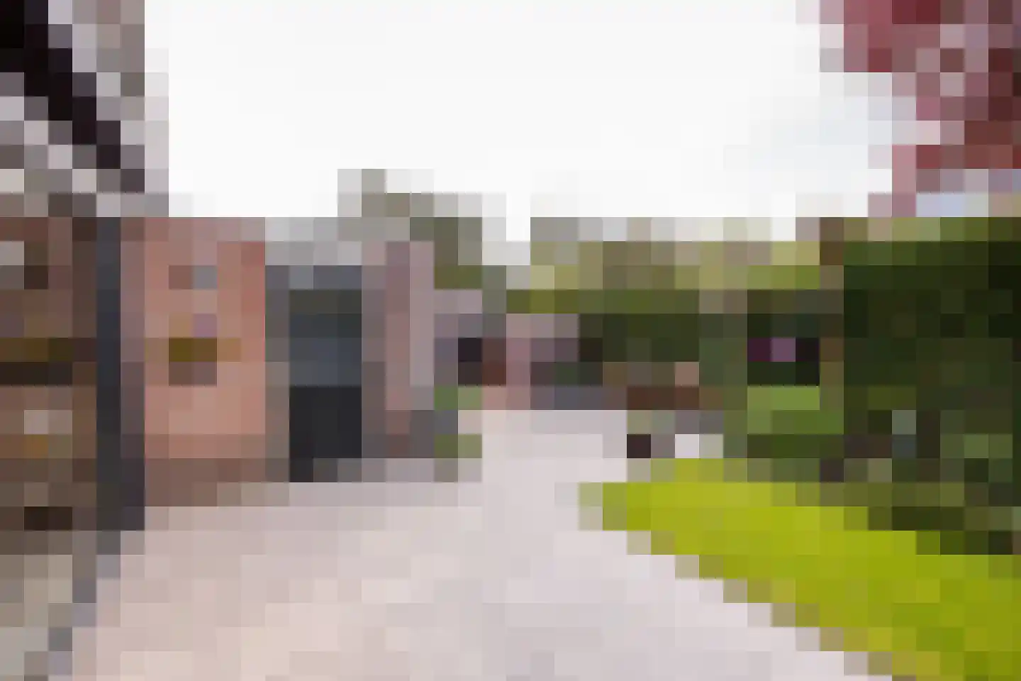 It Hôf 17 Makkum thumbnail 31