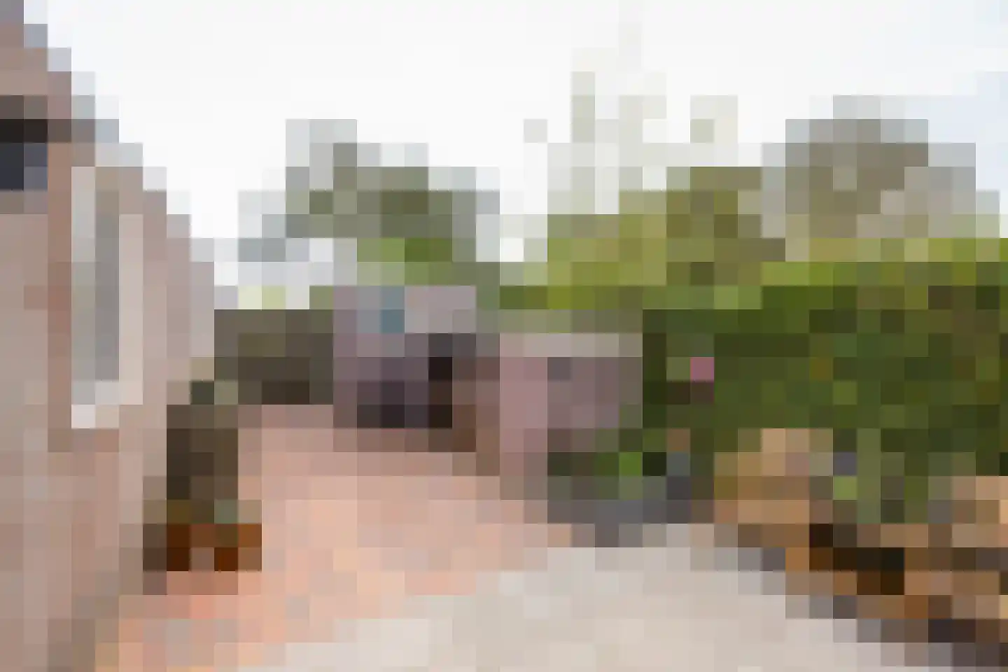 It Hôf 17 Makkum thumbnail 32