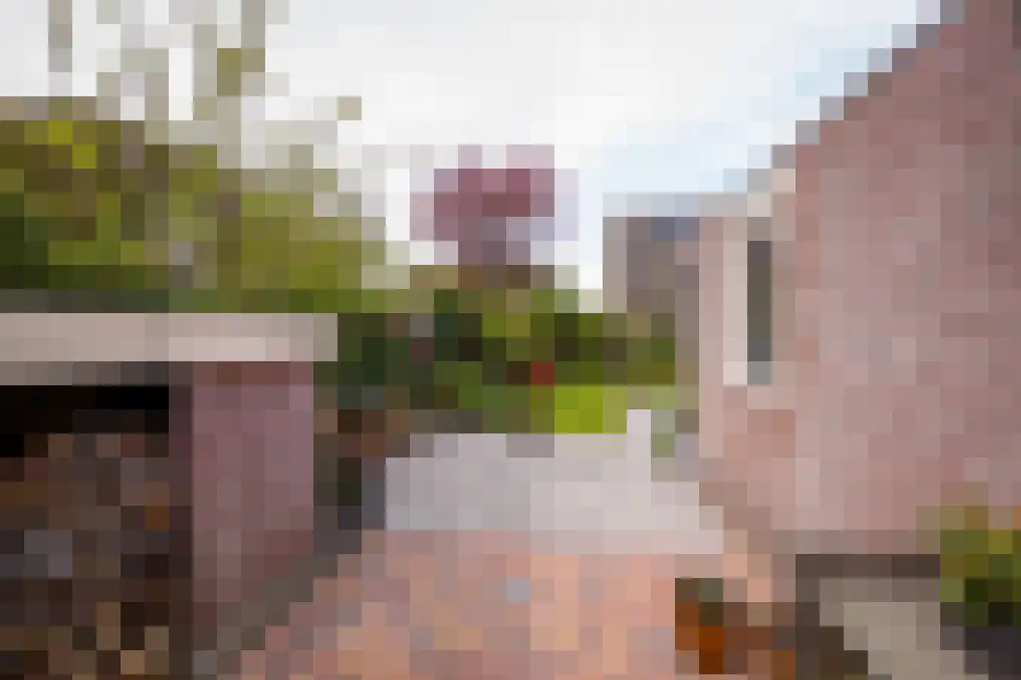 It Hôf 17 Makkum thumbnail 33