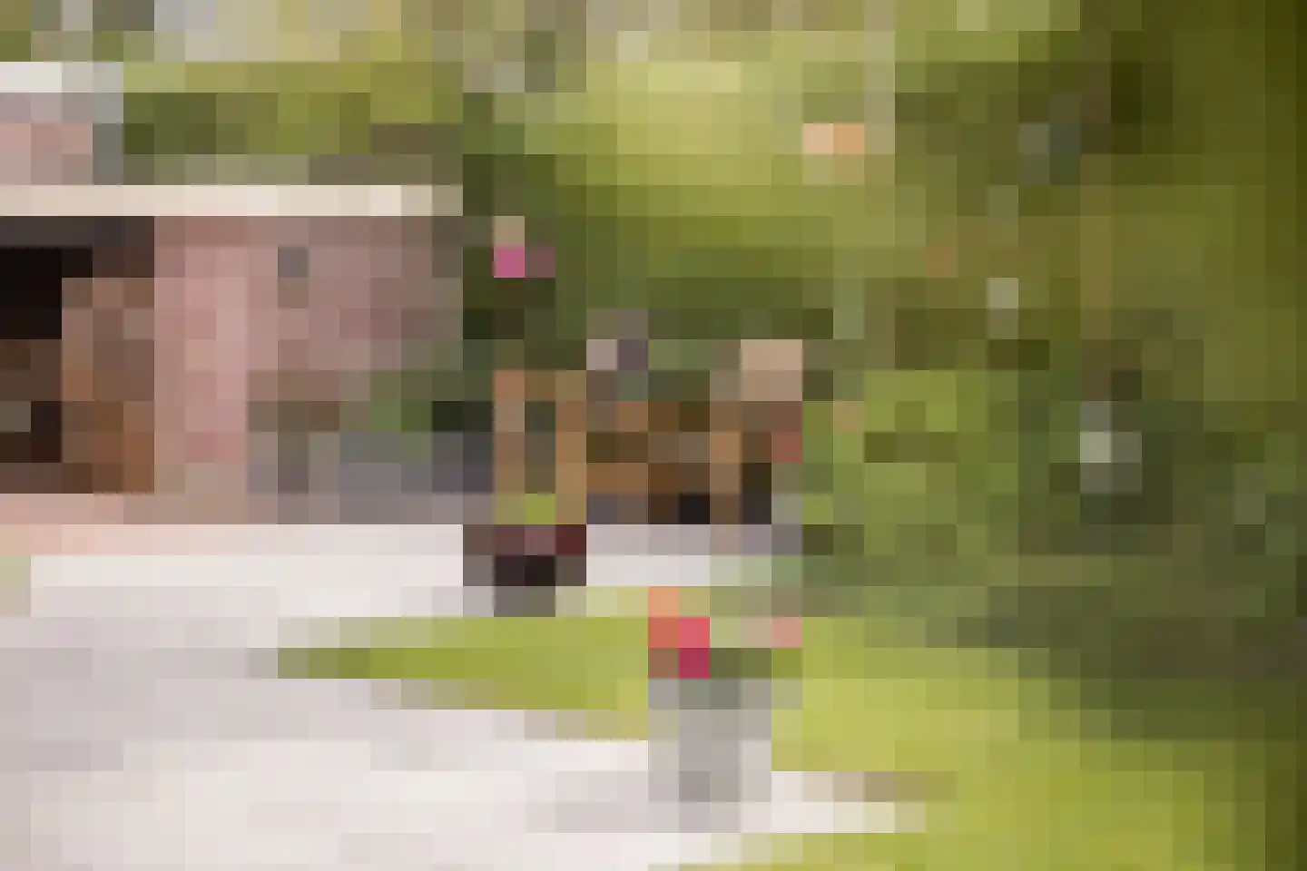 It Hôf 17 Makkum thumbnail 35