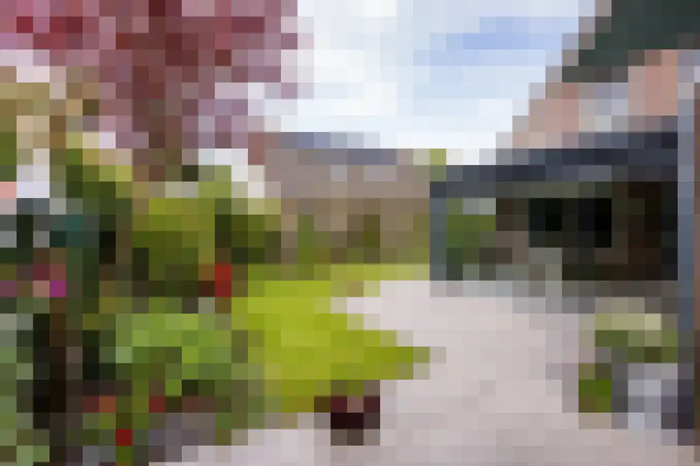 It Hôf 17 Makkum thumbnail 36