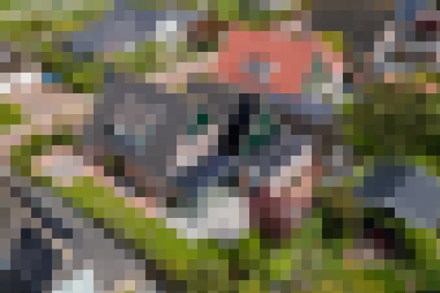 It Hôf 17 Makkum thumbnail 38