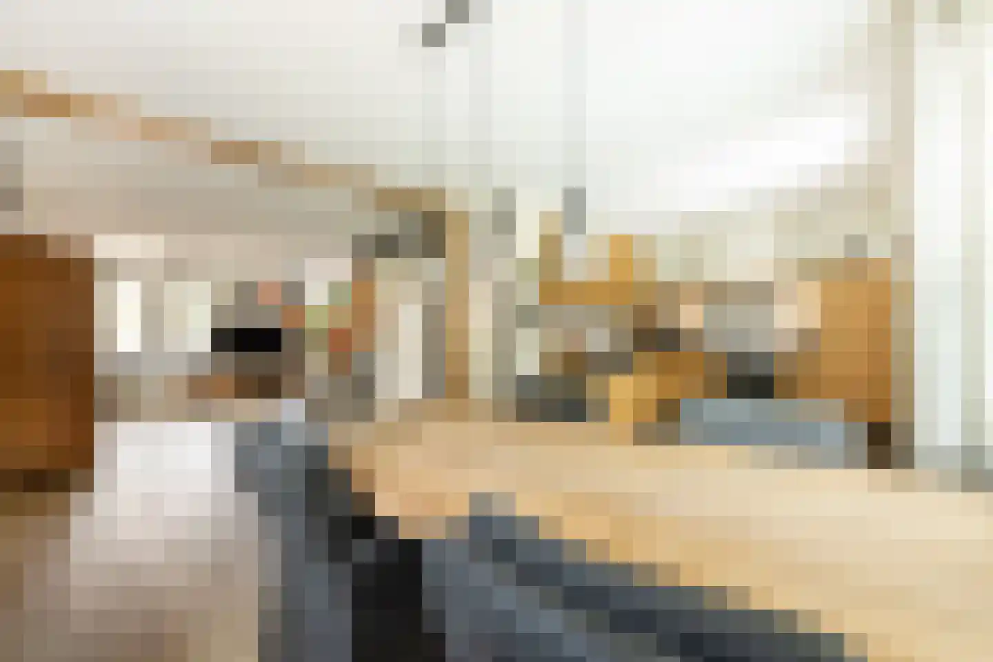 It Hôf 17 Makkum thumbnail 4