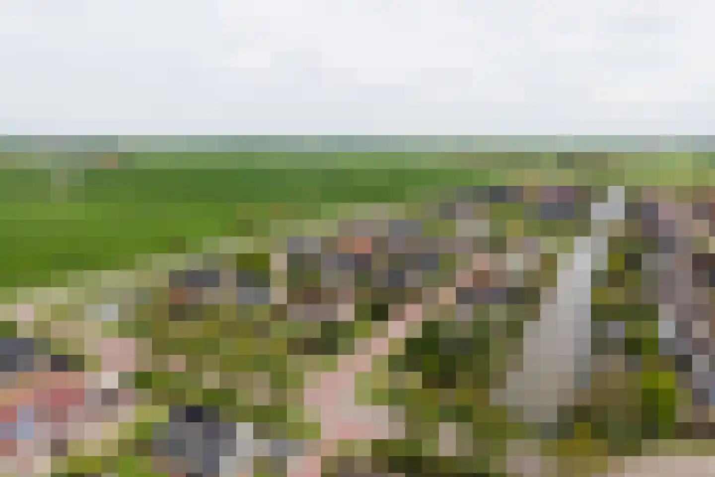 It Hôf 17 Makkum thumbnail 40