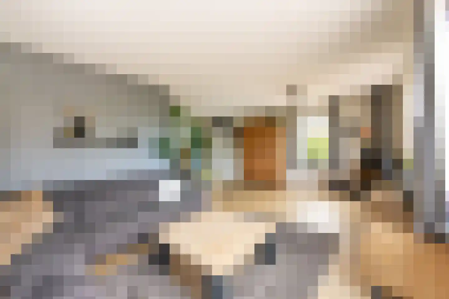 It Hôf 17 Makkum thumbnail 9