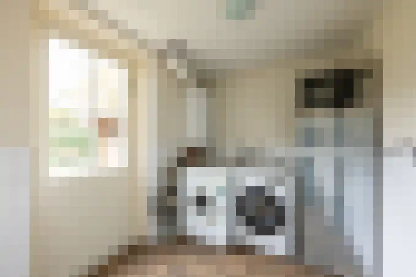 It Hôf 5 Makkum thumbnail 17