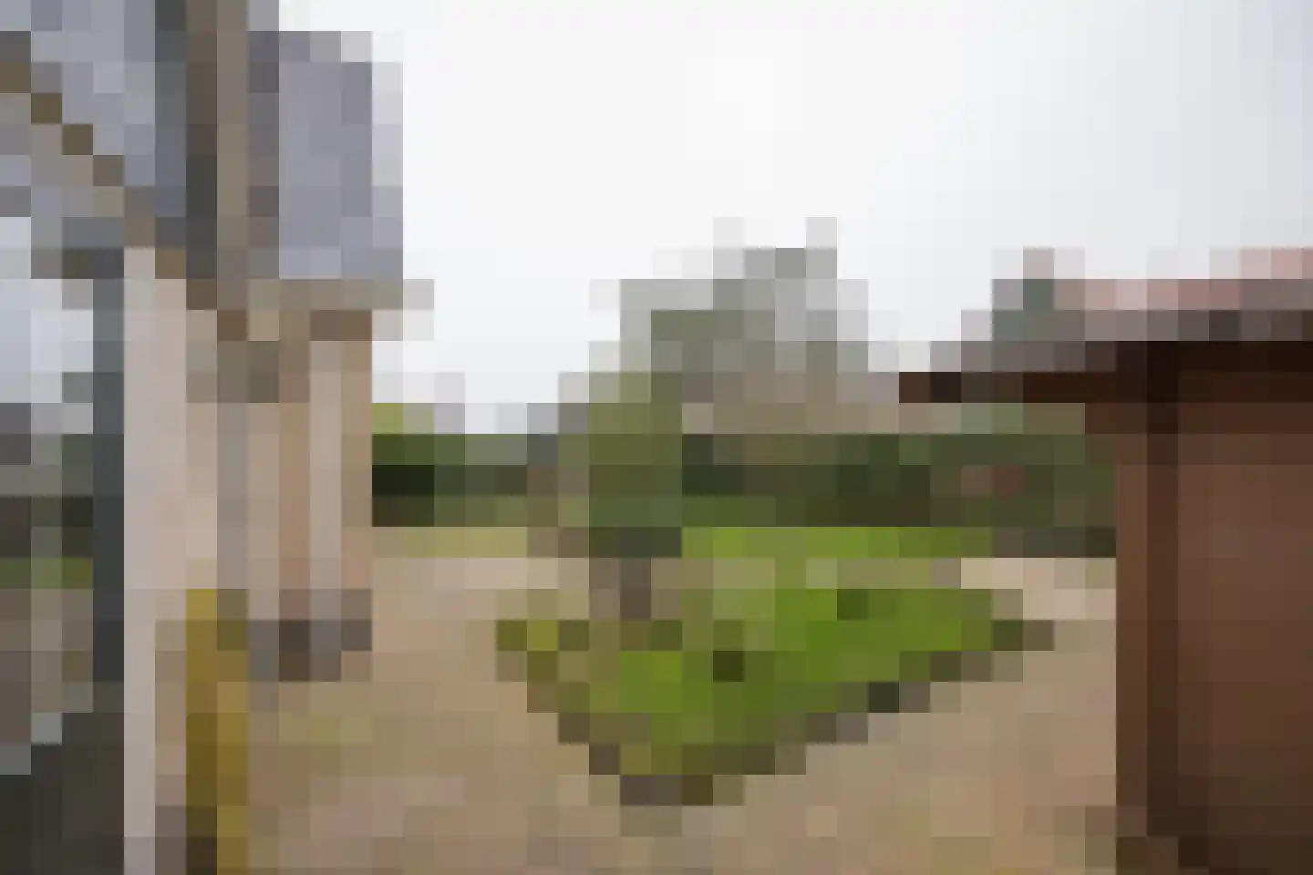 It Hôf 5 Makkum thumbnail 20