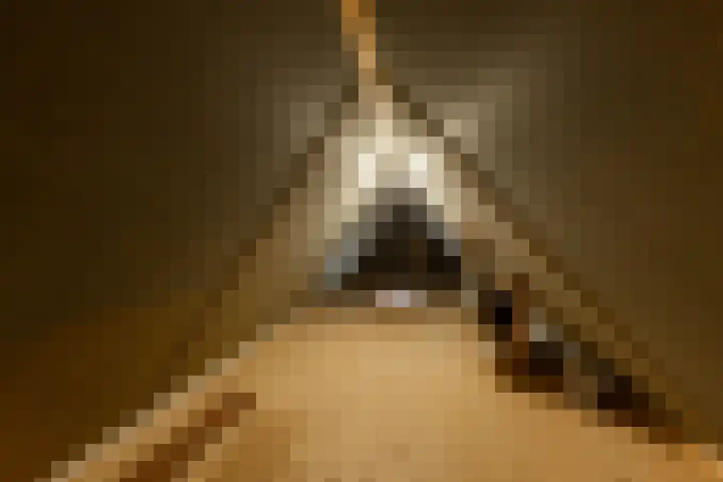 It Hôf 5 Makkum thumbnail 34
