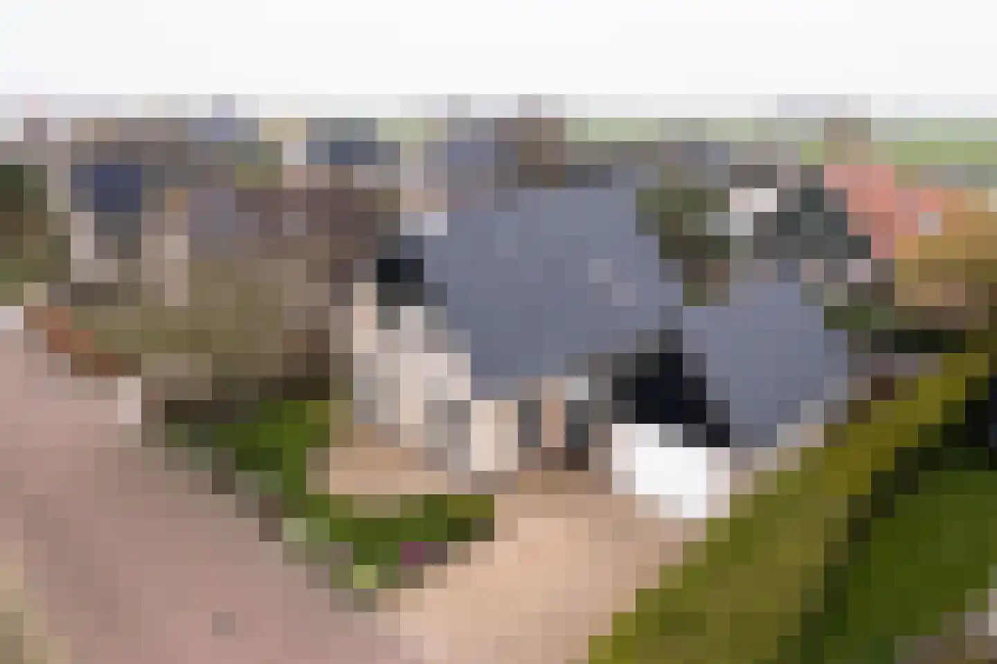 It Hôf 5 Makkum thumbnail 35