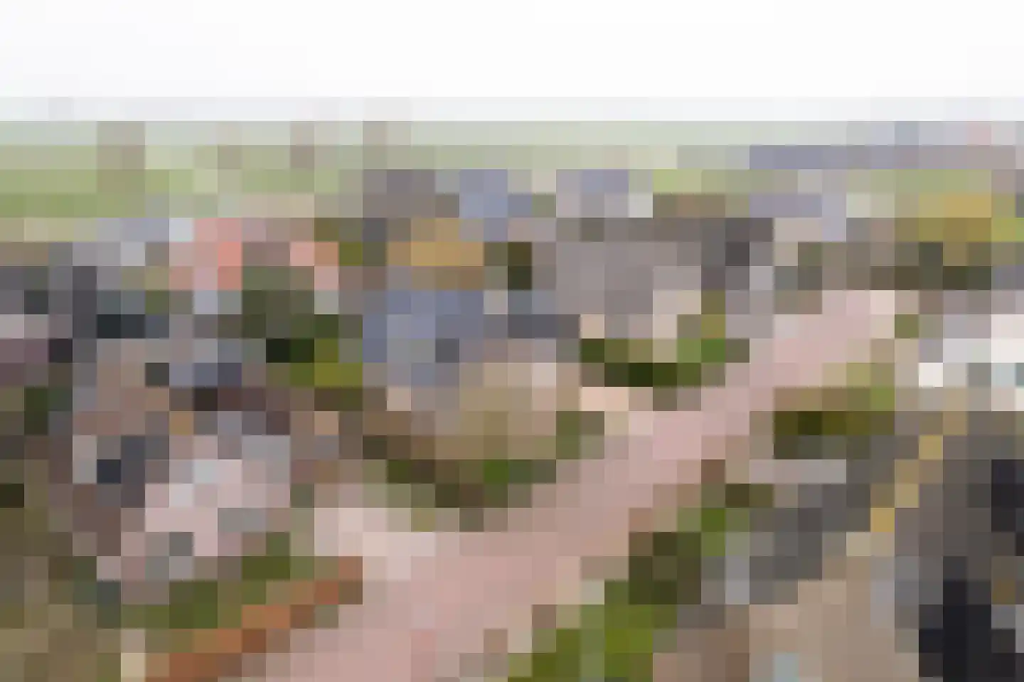 It Hôf 5 Makkum thumbnail 36