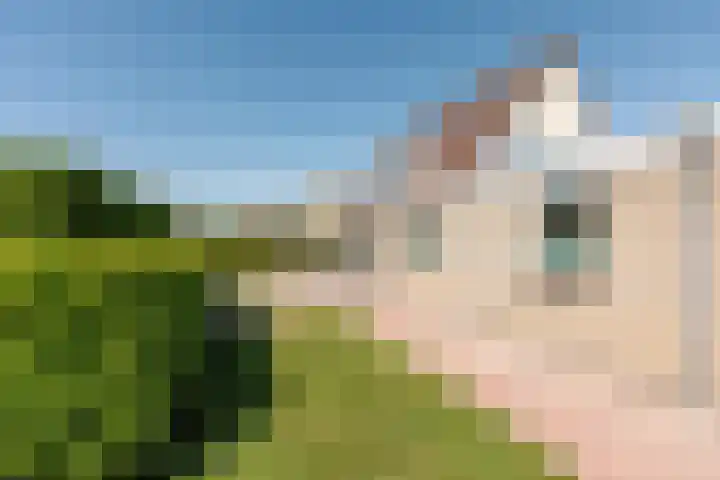 It Hôf 8 Makkum thumbnail 15