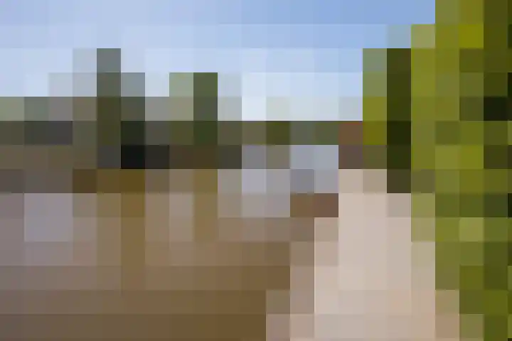 It Hôf 8 Makkum thumbnail 16