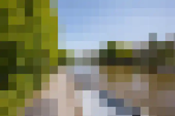 It Hôf 8 Makkum thumbnail 17
