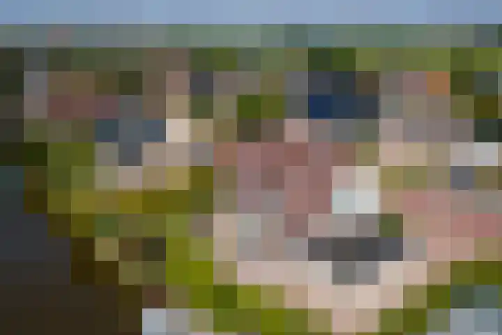 It Hôf 8 Makkum thumbnail 18