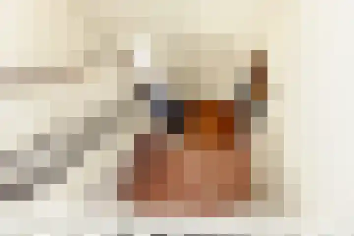 It Hôf 8 Makkum thumbnail 19