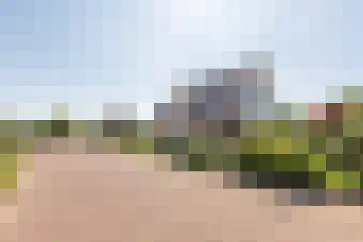 It Hôf 8 Makkum thumbnail 27